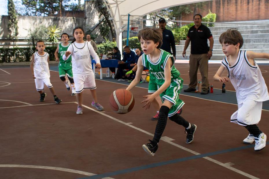 Ir a la Siguiente Foto