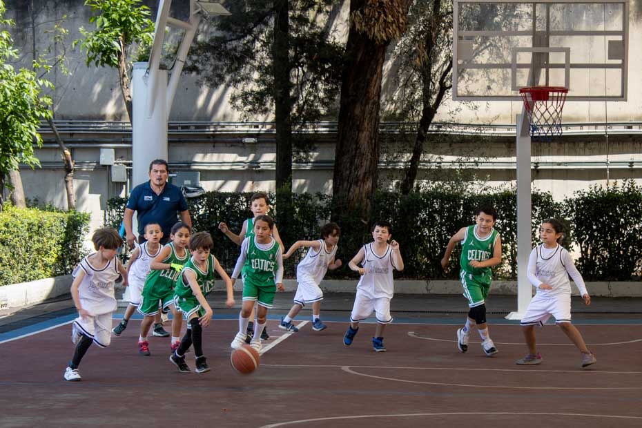 Ir a la Siguiente Foto