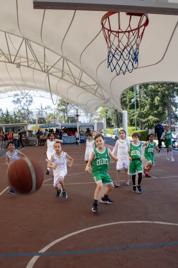 Ir a la Siguiente Foto