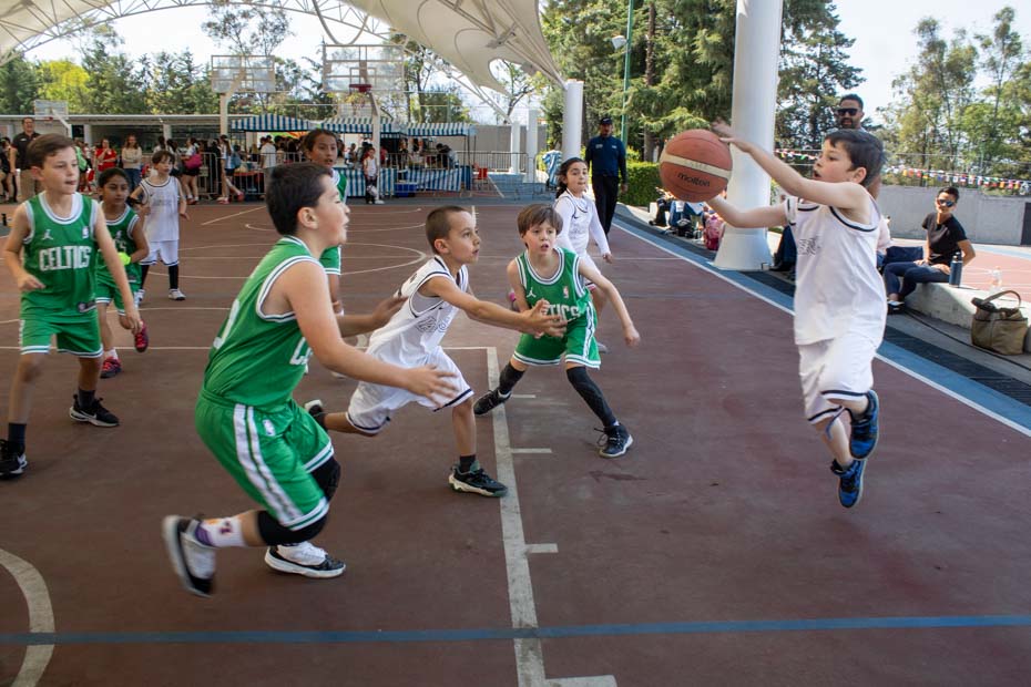 Ir a la Siguiente Foto