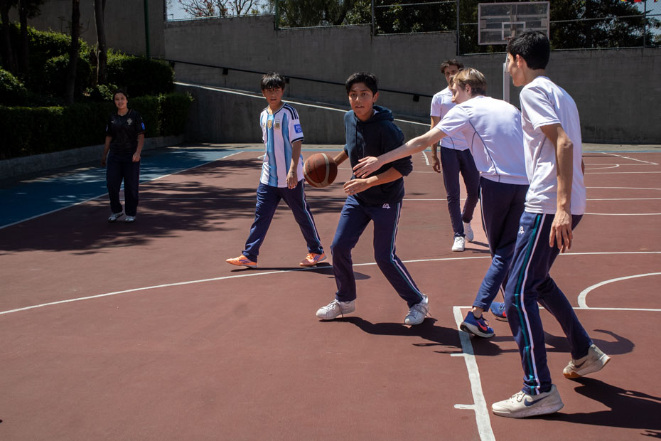 Ir a la Siguiente Foto