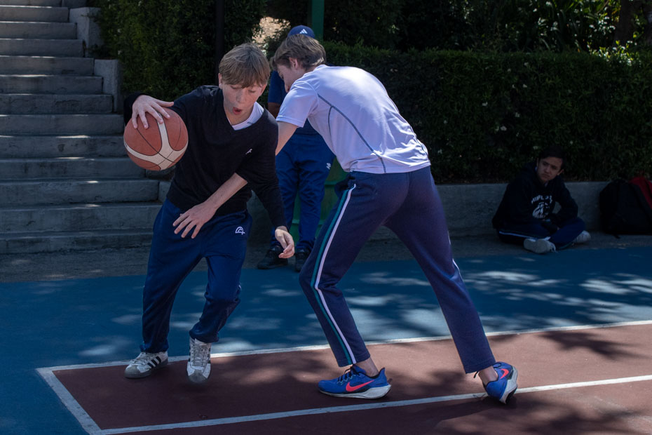 Ir a la Siguiente Foto