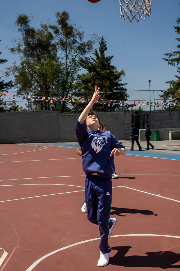 Ir a la Siguiente Foto