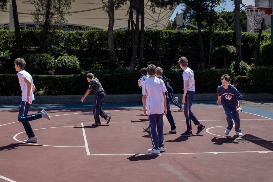 Ir a la Siguiente Foto