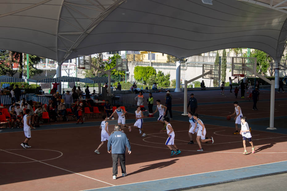 Ir a la Siguiente Foto