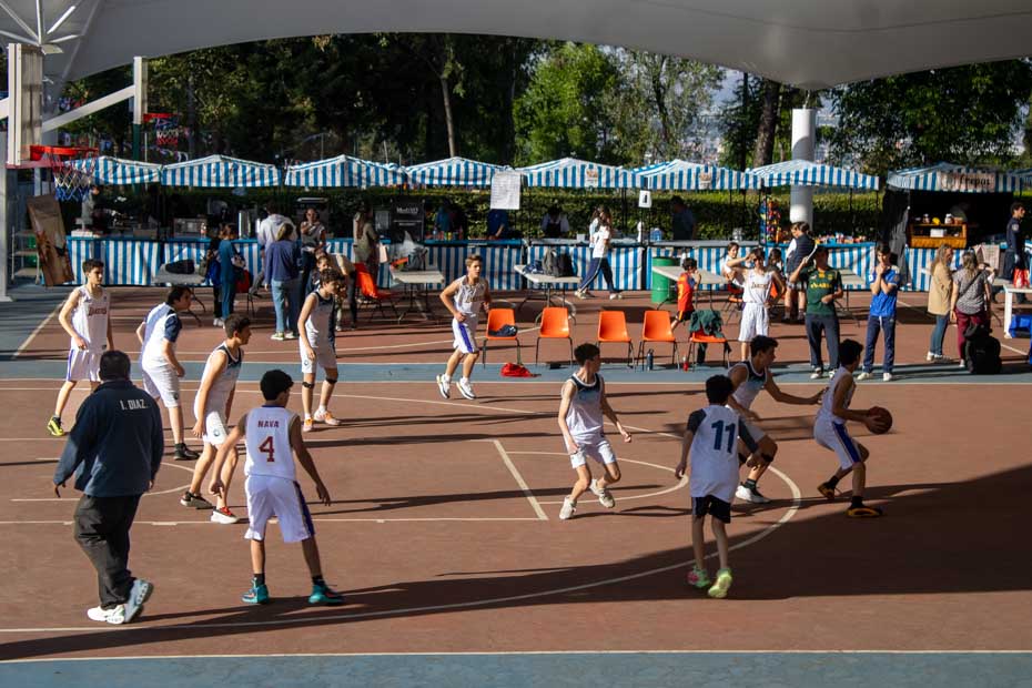 Ir a la Siguiente Foto