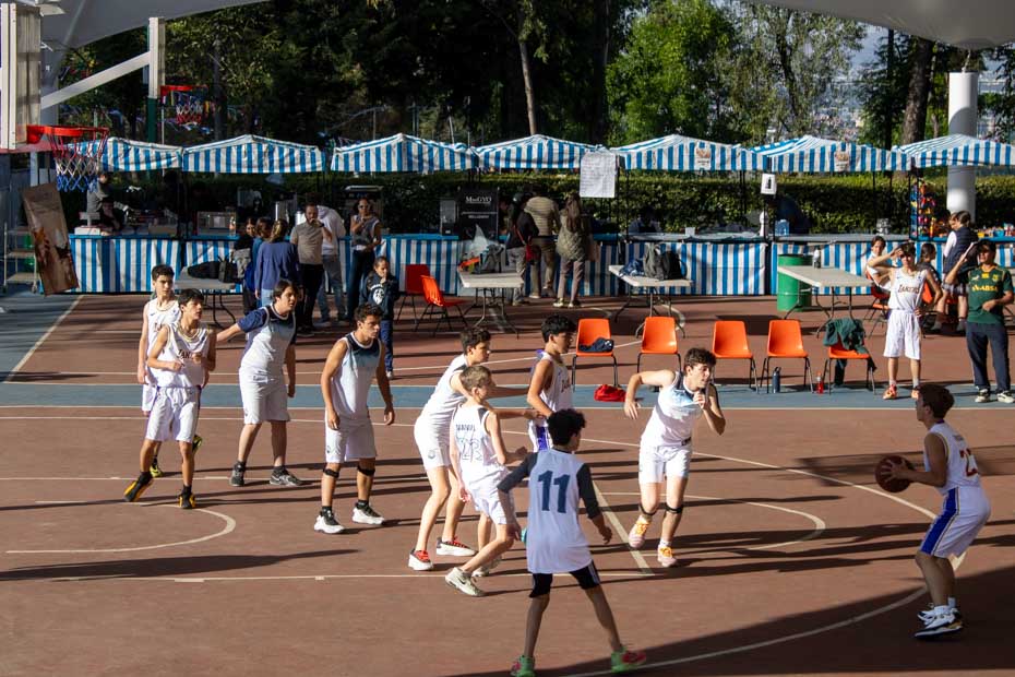 Ir a la Siguiente Foto