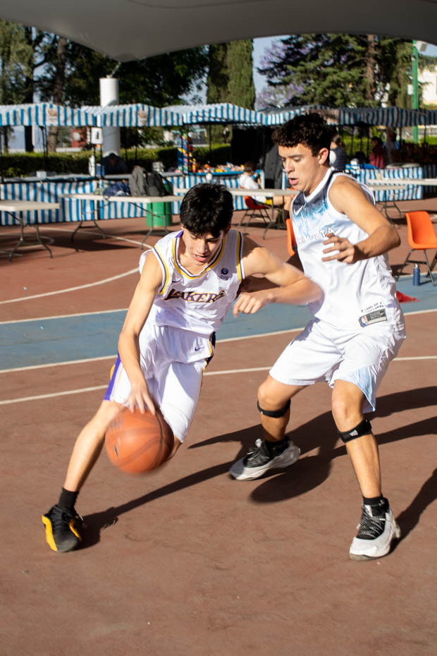 Ir a la Siguiente Foto