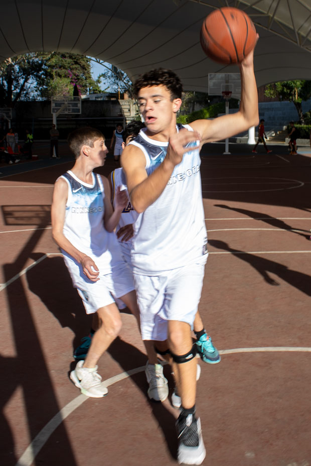 Ir a la Siguiente Foto