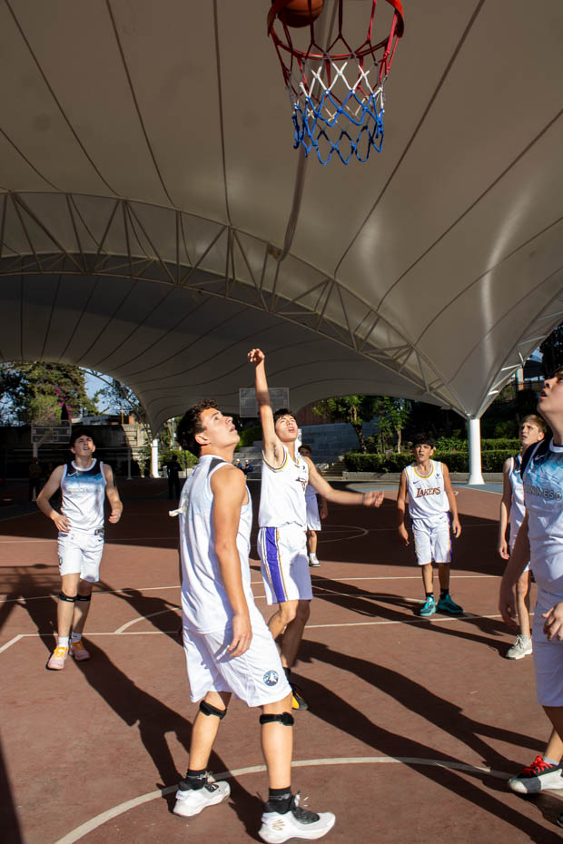 Ir a la Siguiente Foto