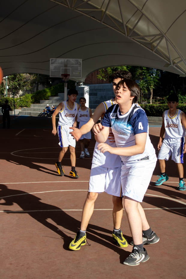 Ir a la Siguiente Foto