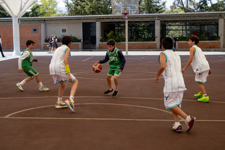 Ir a la Siguiente Foto