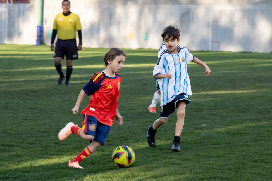 Ir a la Siguiente Foto