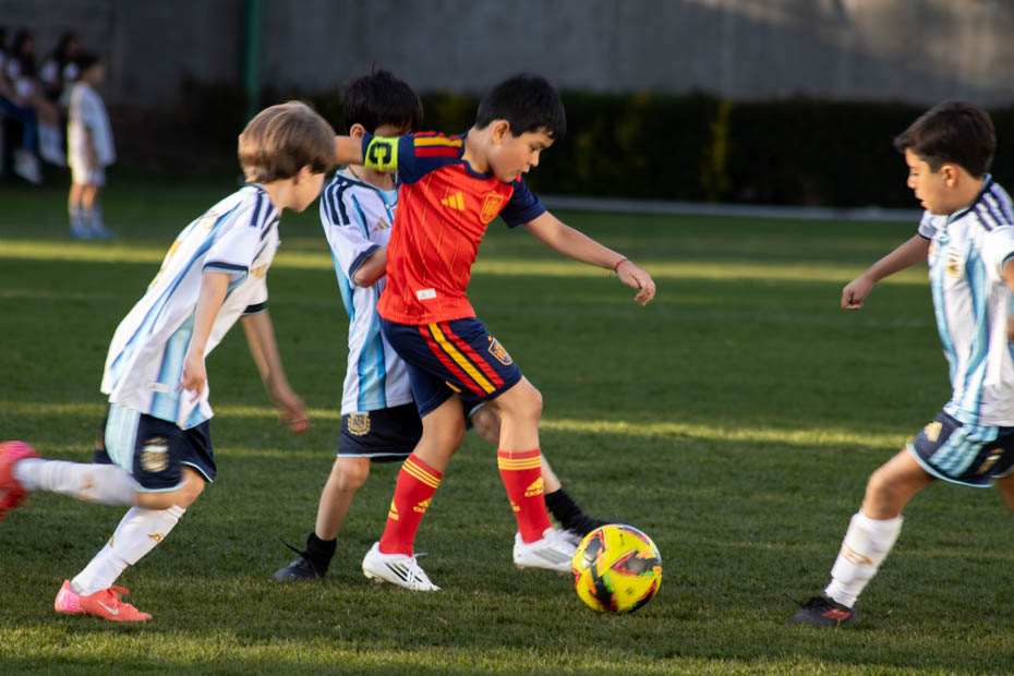 Ir a la Siguiente Foto