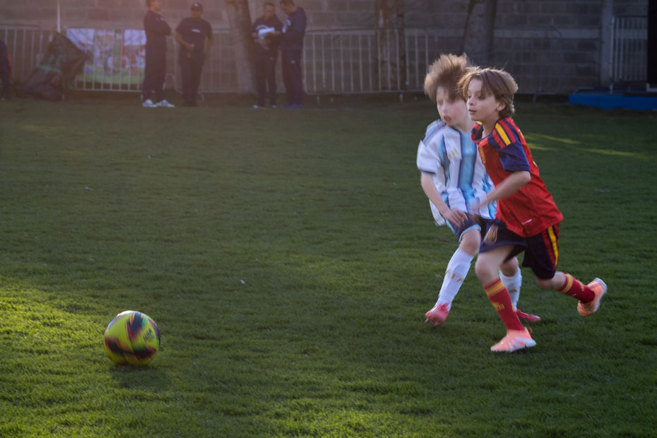 Ir a la Siguiente Foto