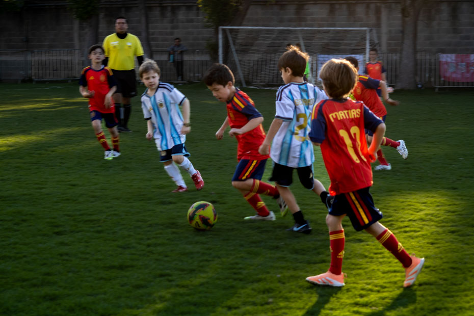 Ir a la Siguiente Foto