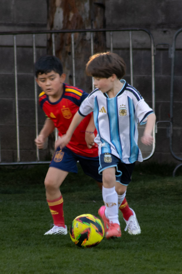 Ir a la Siguiente Foto