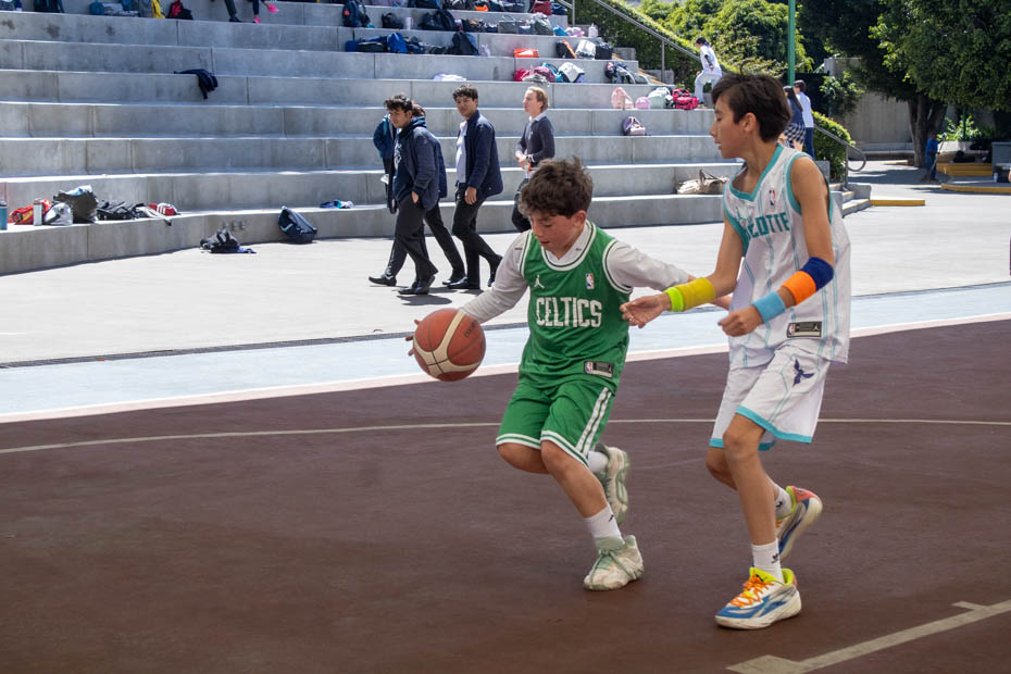 Ir a la Siguiente Foto