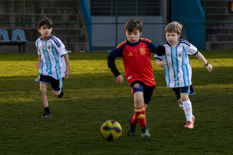 Ir a la Siguiente Foto