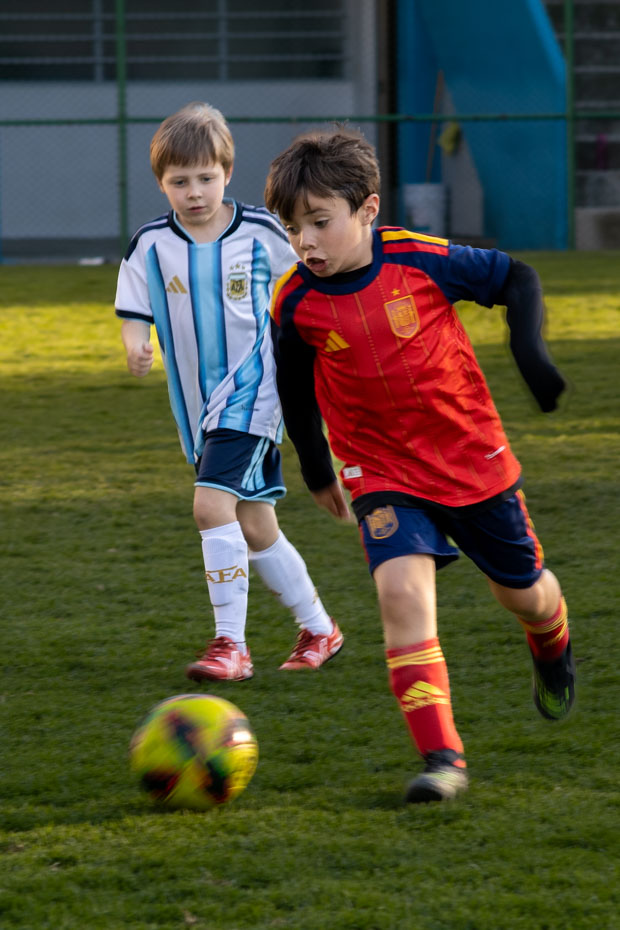 Ir a la Siguiente Foto