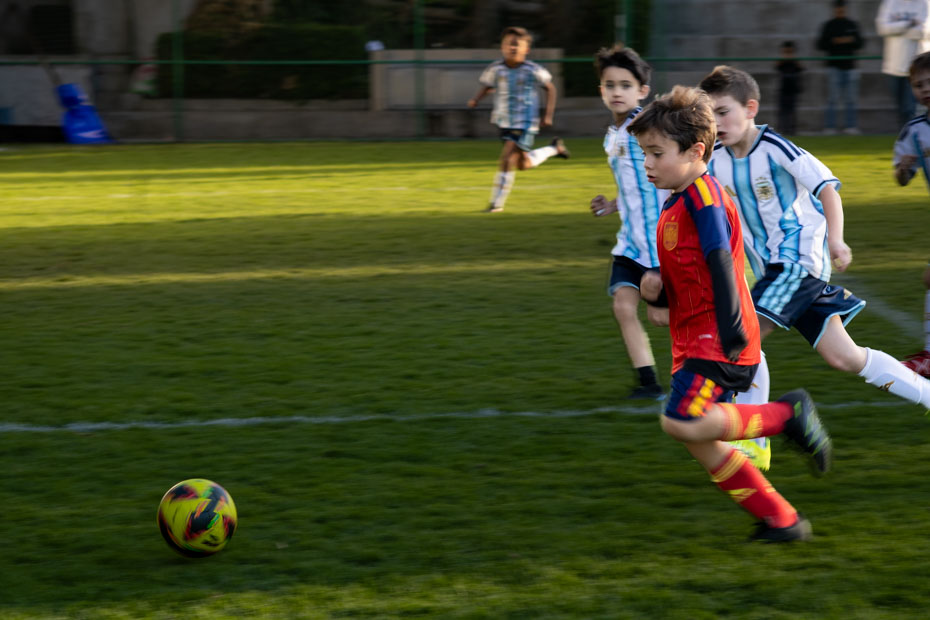 Ir a la Siguiente Foto