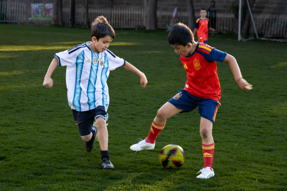 Ir a la Siguiente Foto