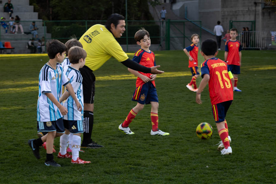 Ir a la Siguiente Foto