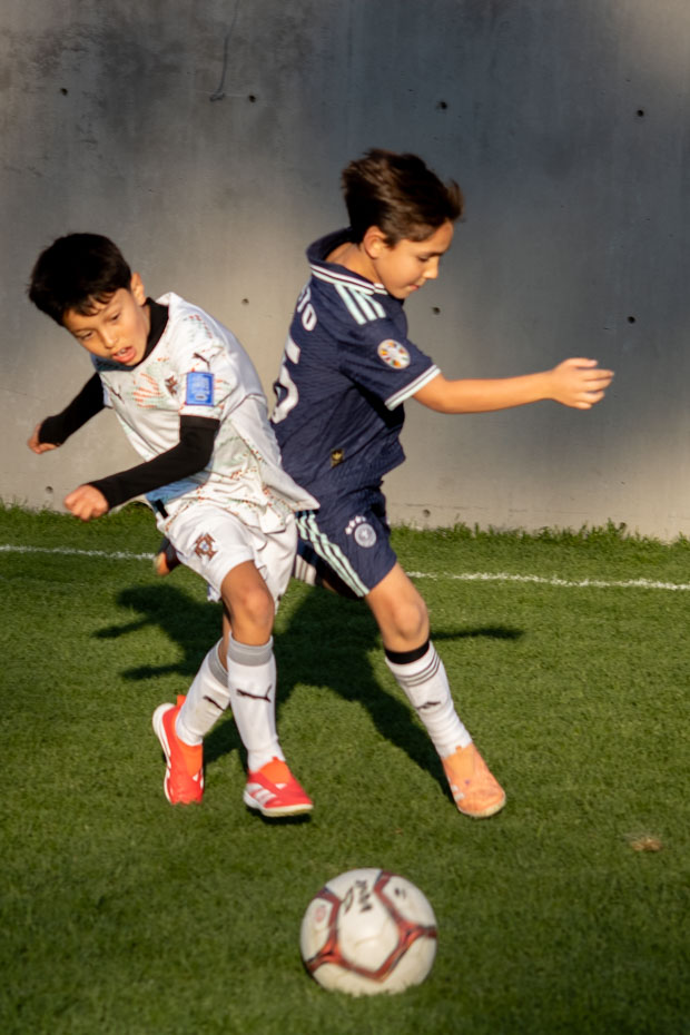 Ir a la Siguiente Foto