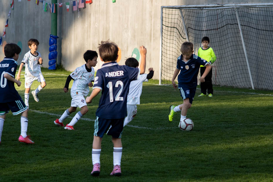 Ir a la Siguiente Foto