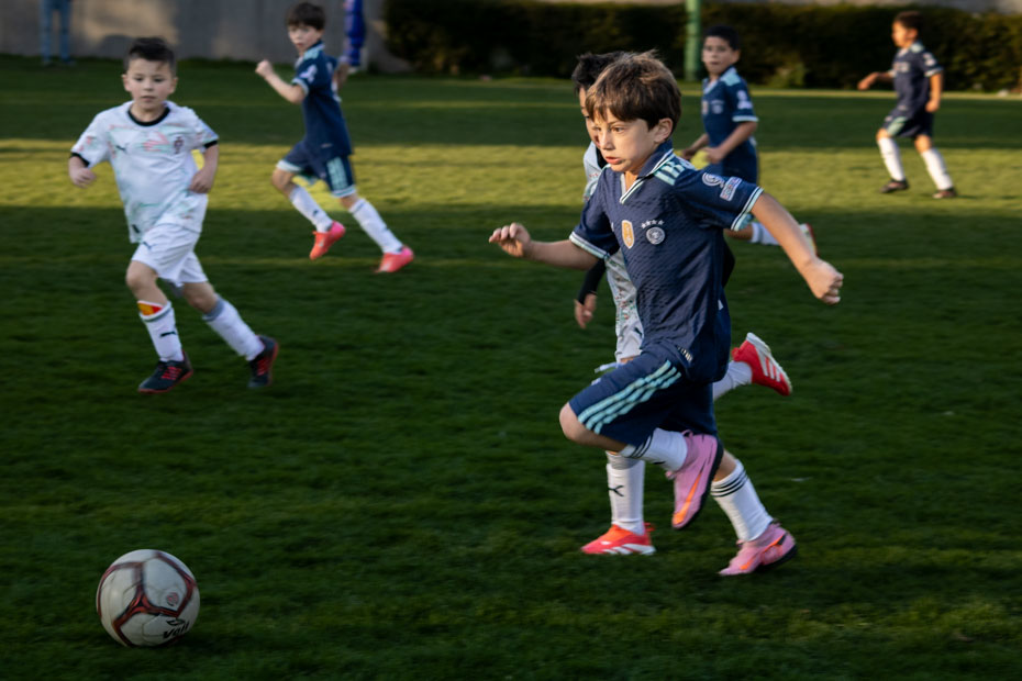 Ir a la Siguiente Foto