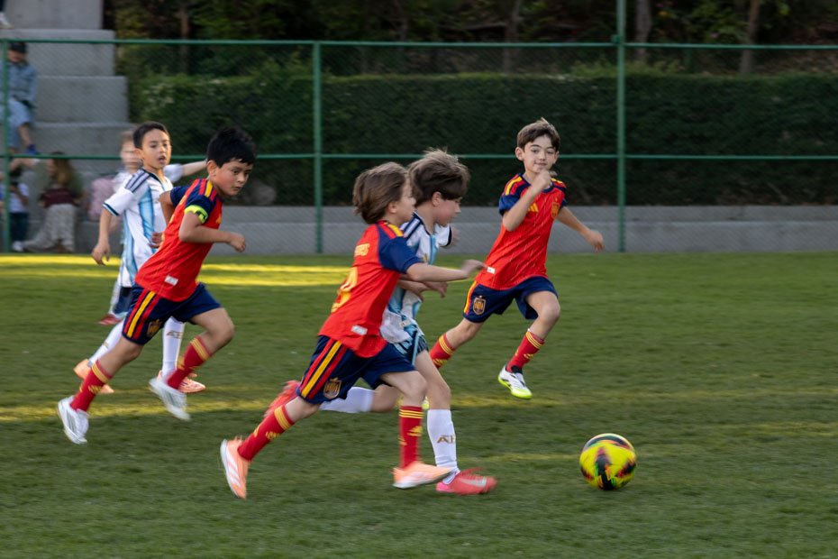 Ir a la Siguiente Foto