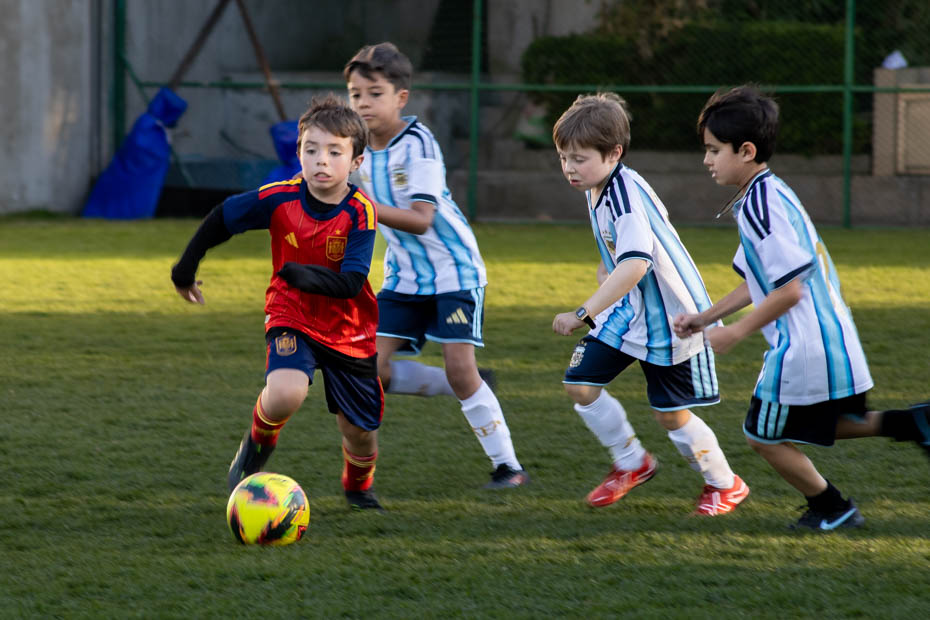 Ir a la Siguiente Foto