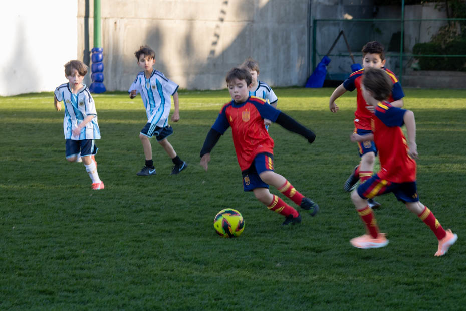 Ir a la Siguiente Foto