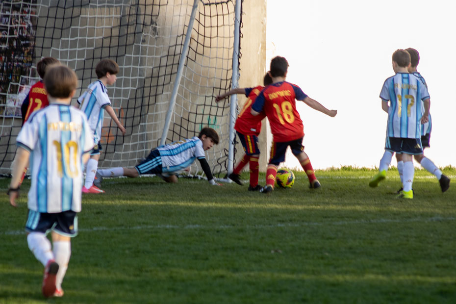 Ir a la Siguiente Foto