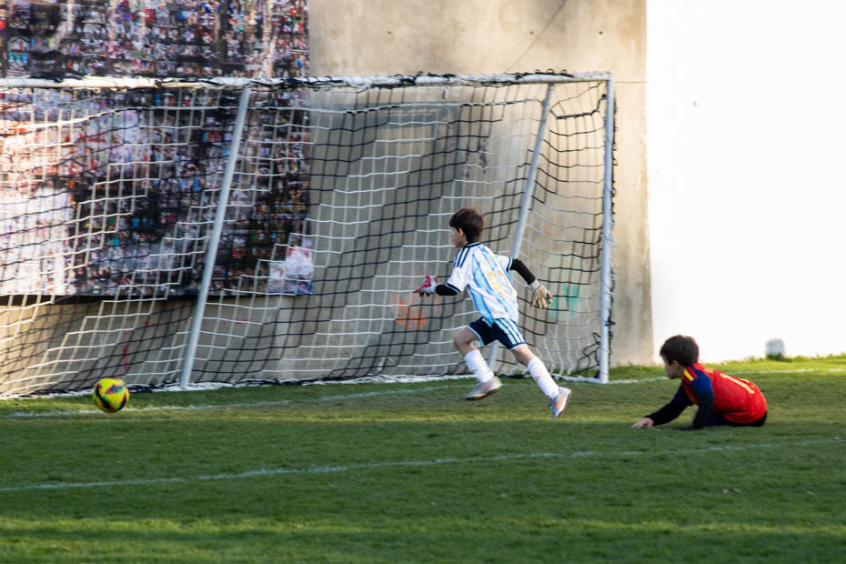 Ir a la Siguiente Foto