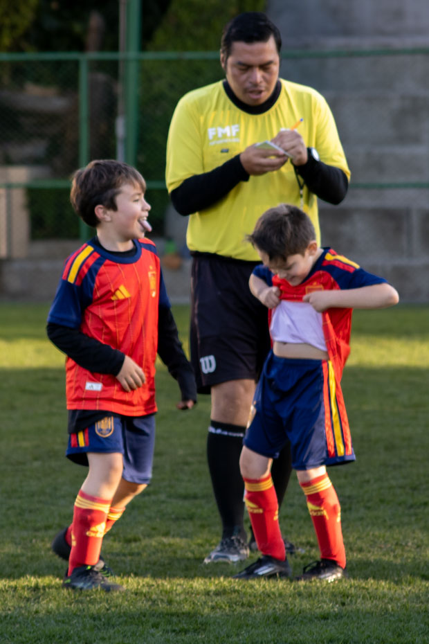 Ir a la Siguiente Foto