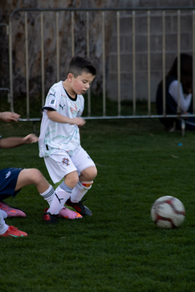 Ir a la Siguiente Foto