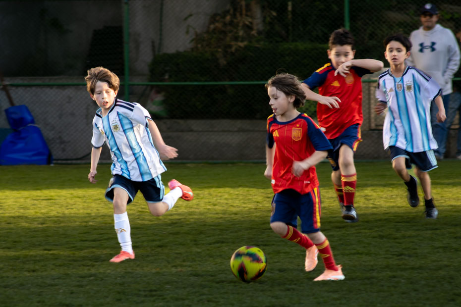 Ir a la Siguiente Foto