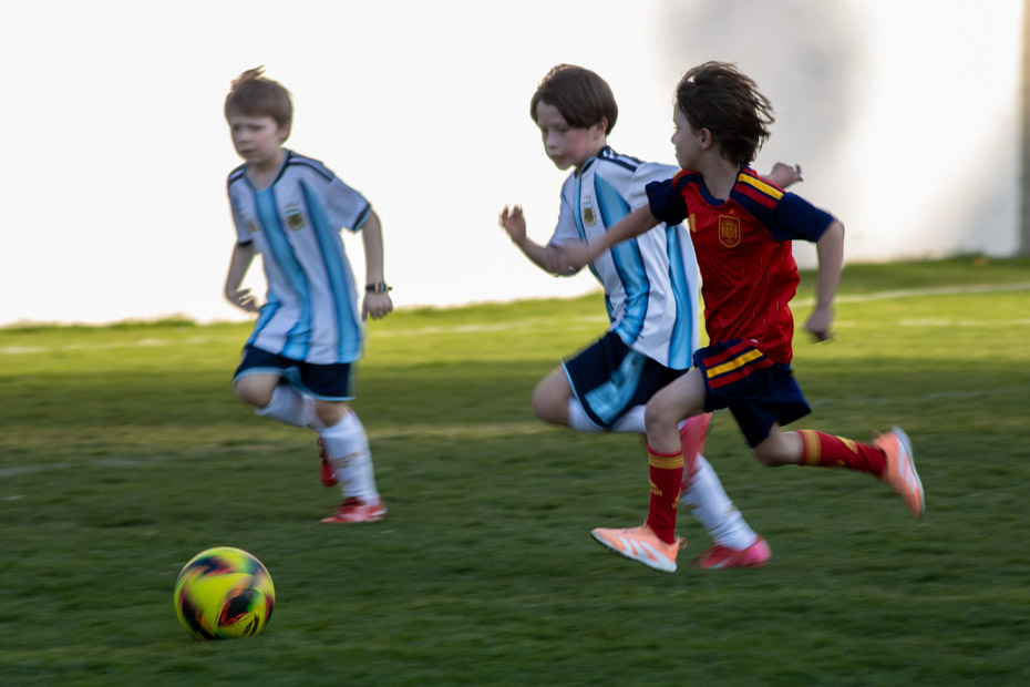 Ir a la Siguiente Foto