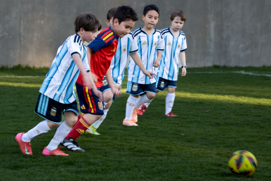 Ir a la Siguiente Foto