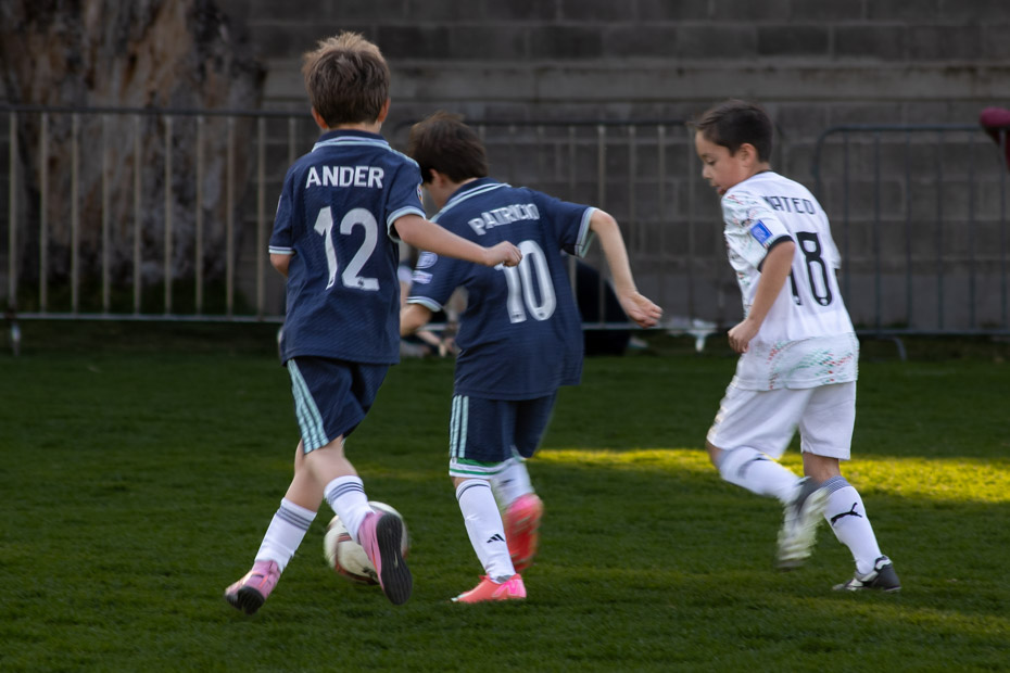 Ir a la Siguiente Foto