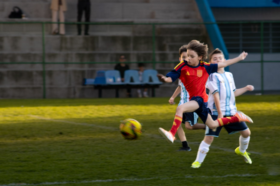 Ir a la Siguiente Foto