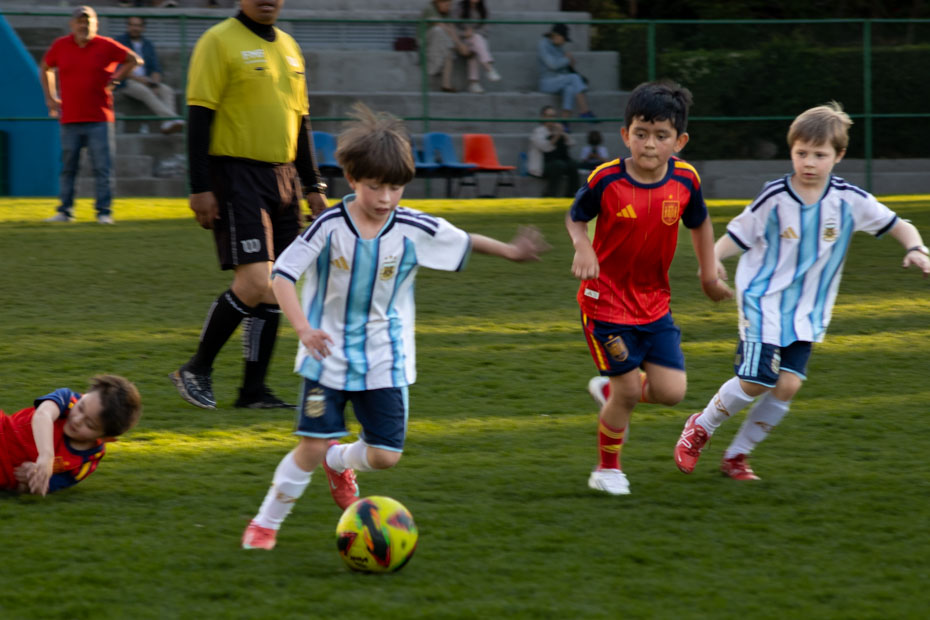 Ir a la Siguiente Foto