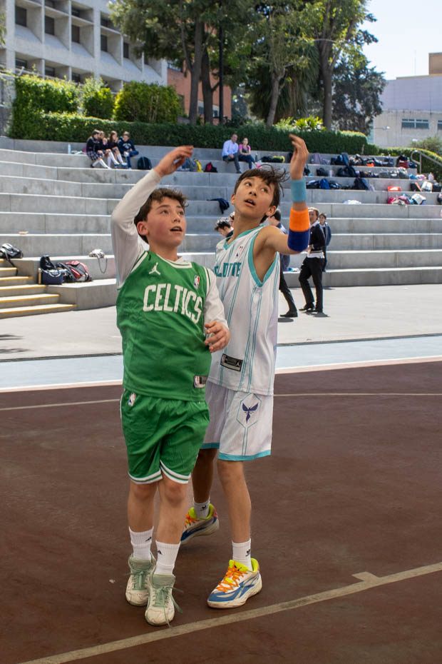 Ir a la Siguiente Foto