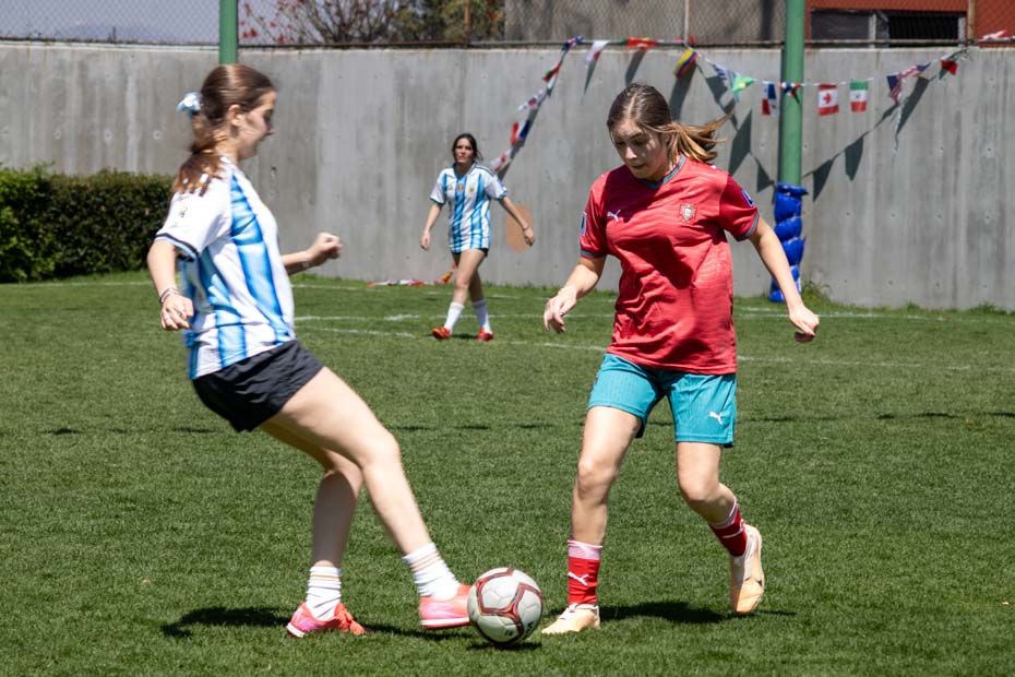 Ir a la Siguiente Foto