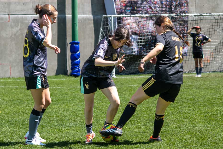 Ir a la Siguiente Foto