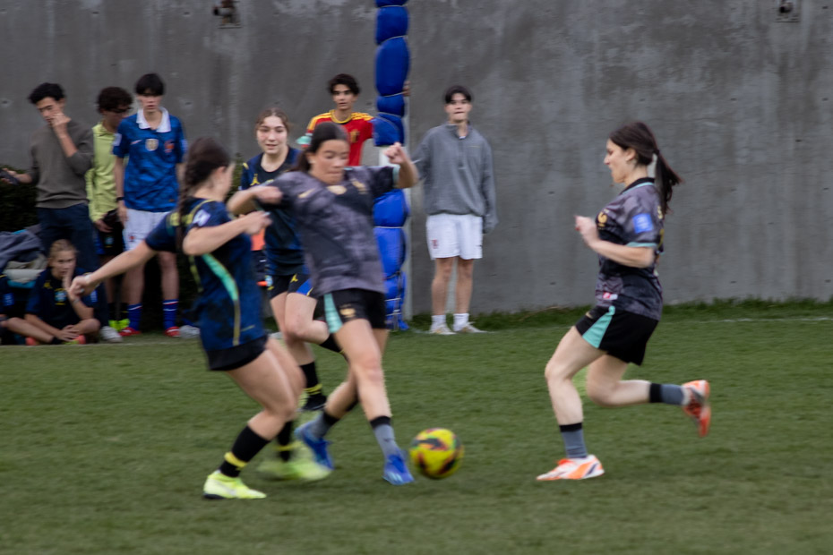 Ir a la Siguiente Foto