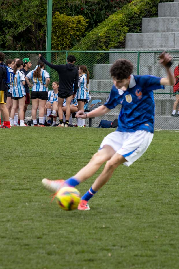 Ir a la Siguiente Foto