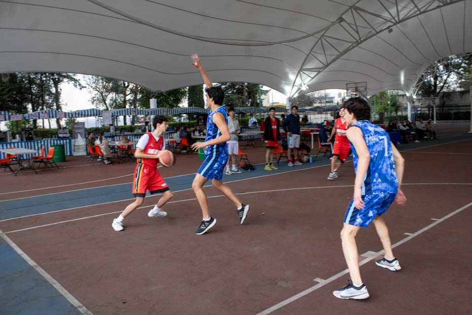 Ir a la Siguiente Foto