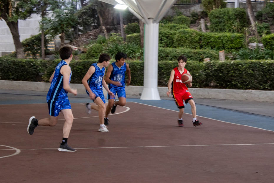 Ir a la Siguiente Foto